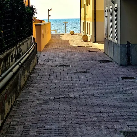 Florida * Сан-Винченцо